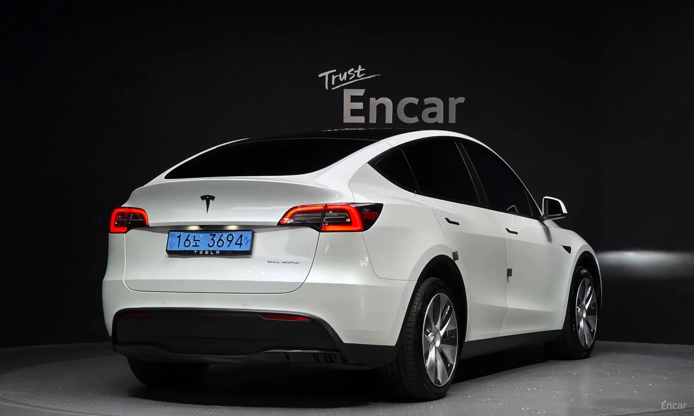 Model Y