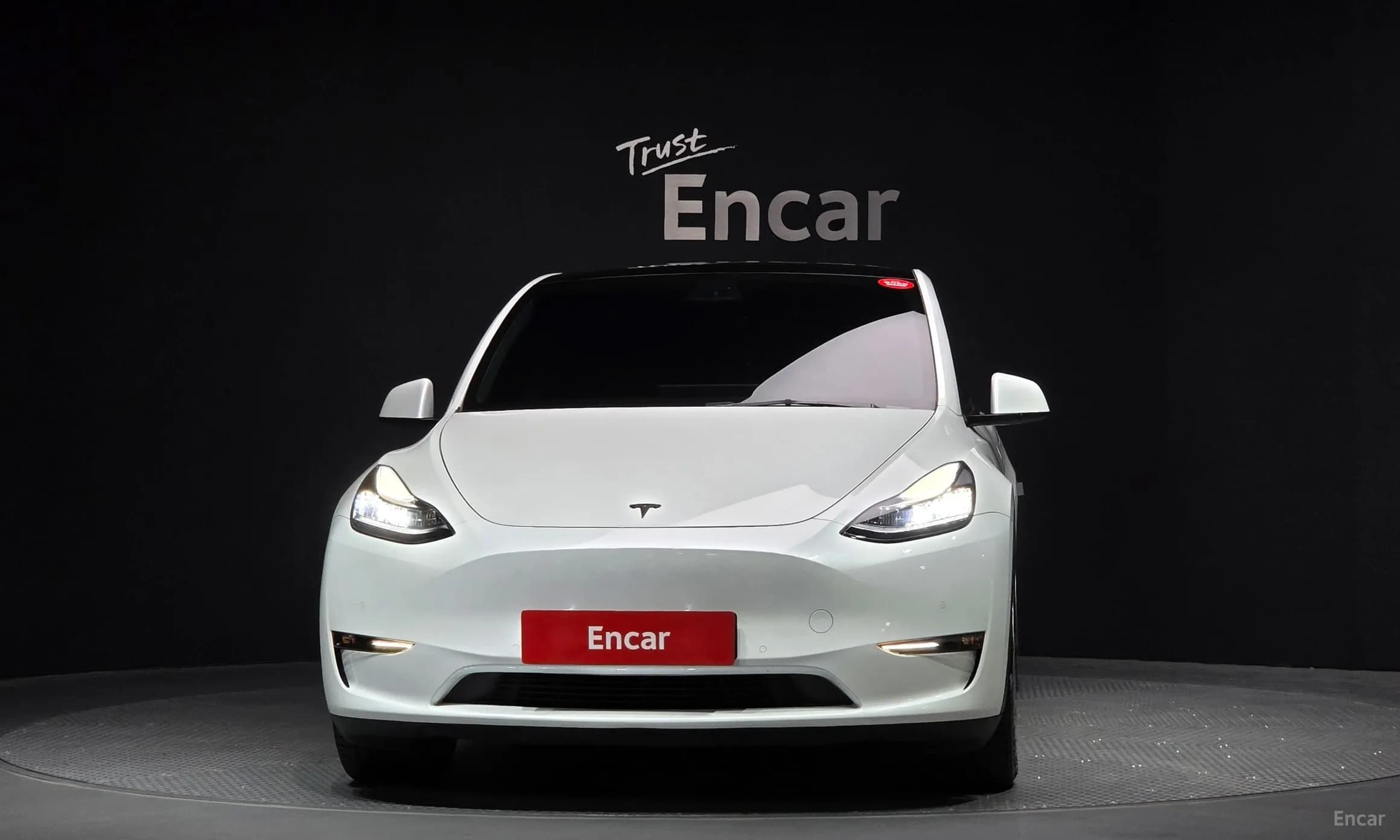Model Y