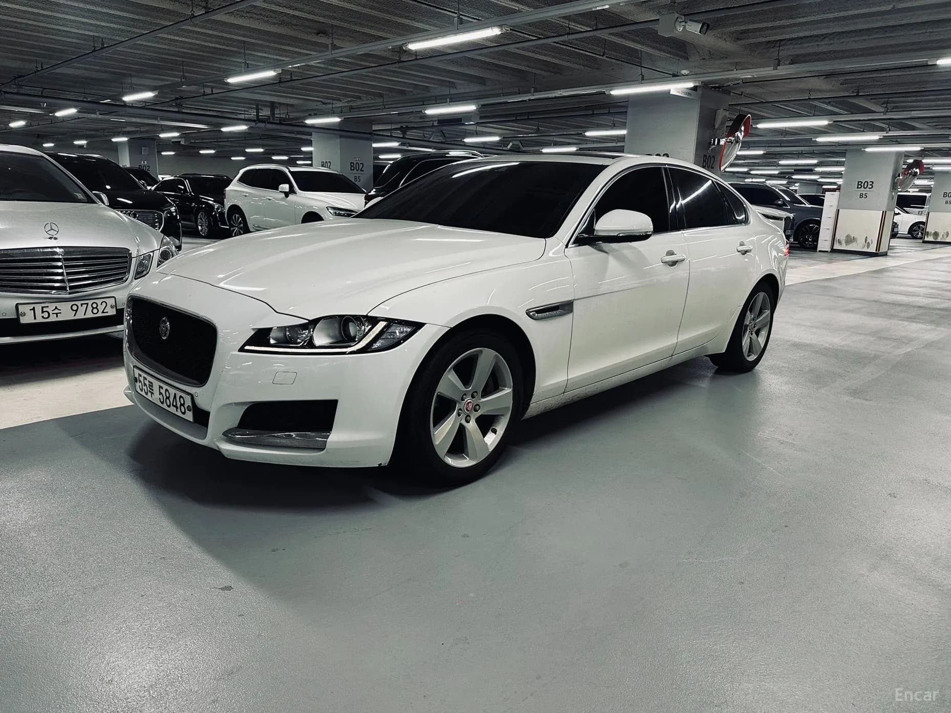 XF (x260)