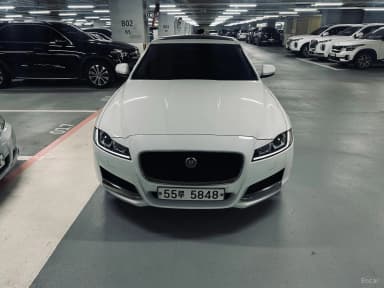 XF (x260)