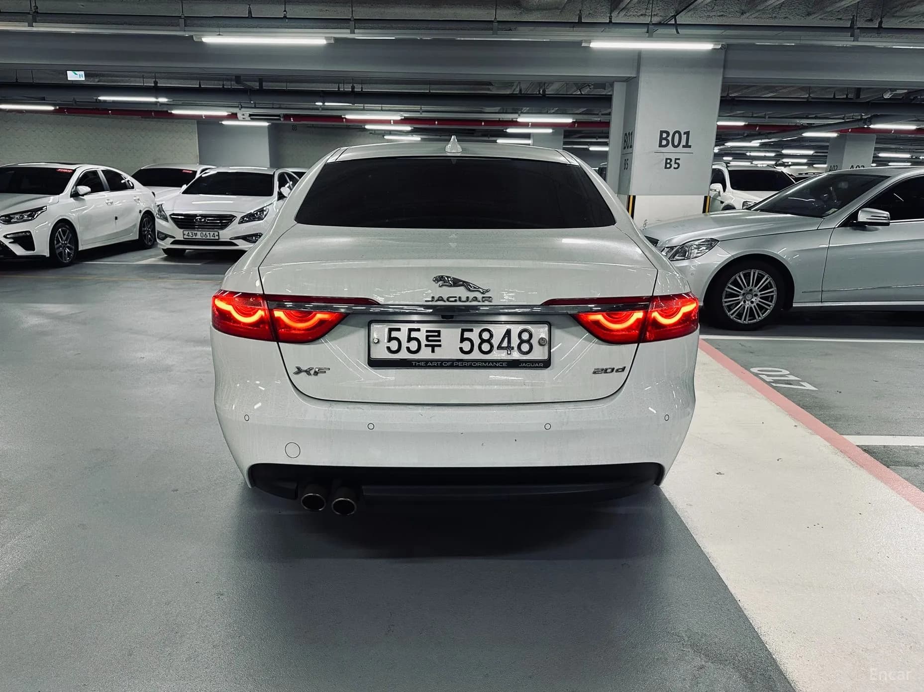 XF (x260)