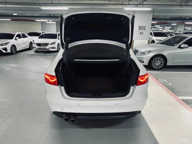 XF (x260)