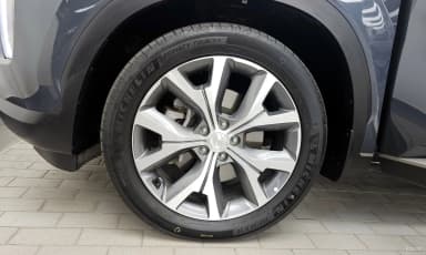 Palisade