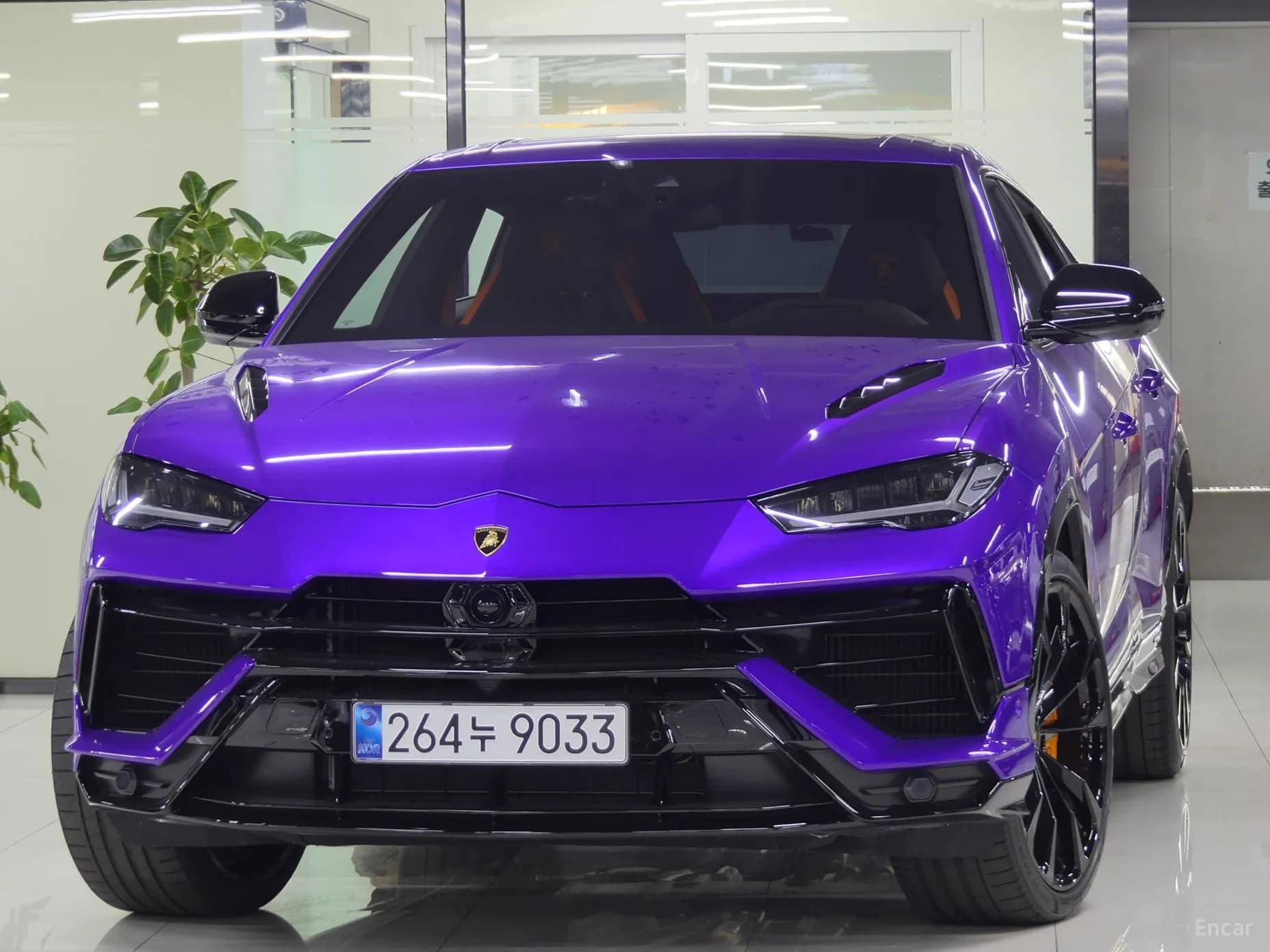 Urus