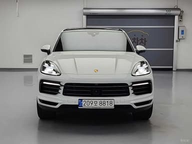 Cayenne (PO536)