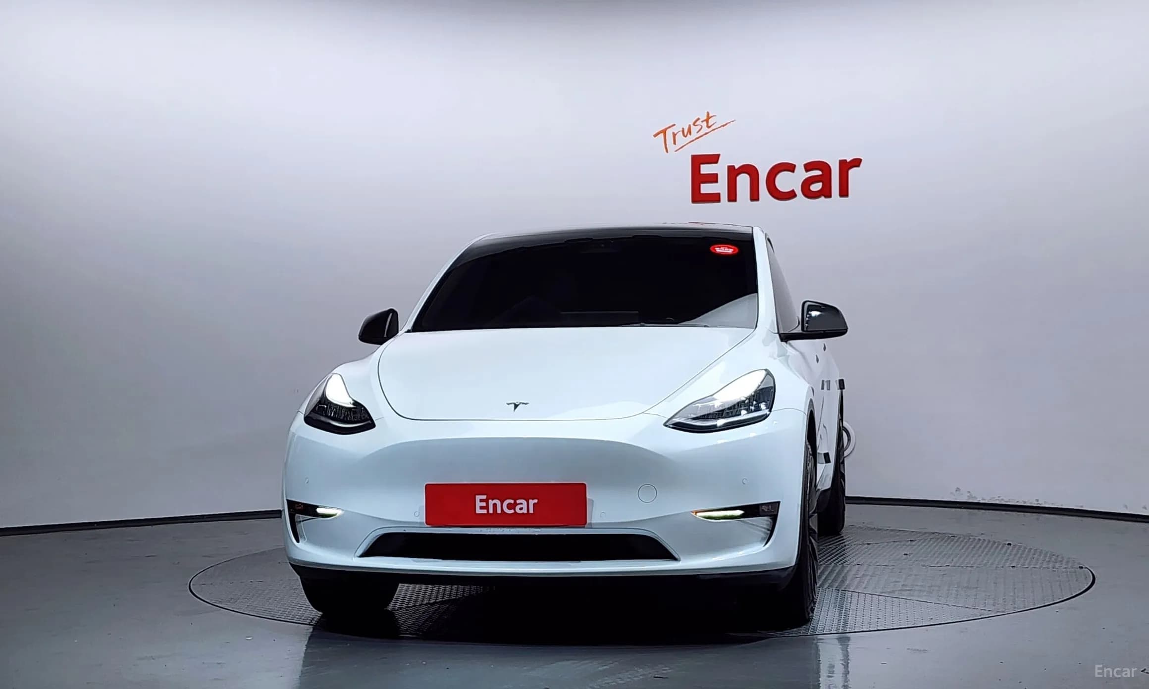 Model Y