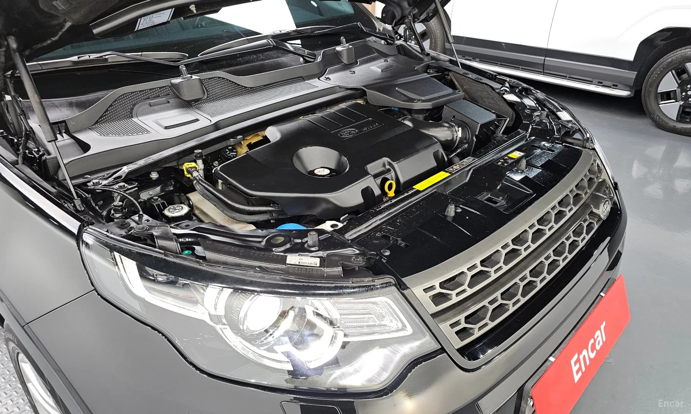 Discovery Sports