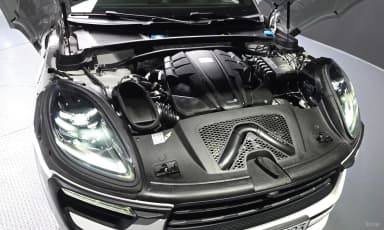 Macan