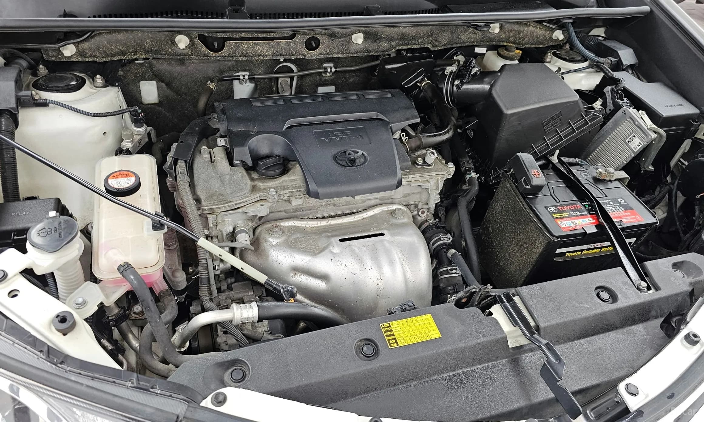 RAV4