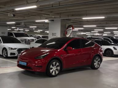Model Y