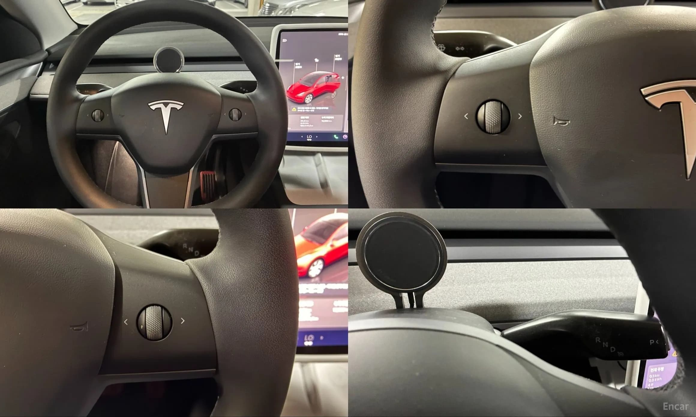 Model Y