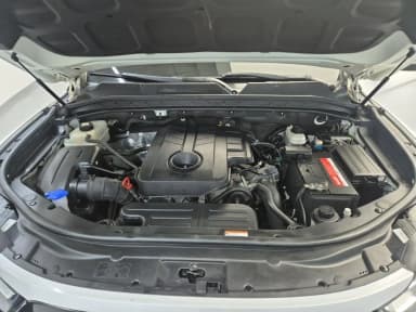 Rexton Sports