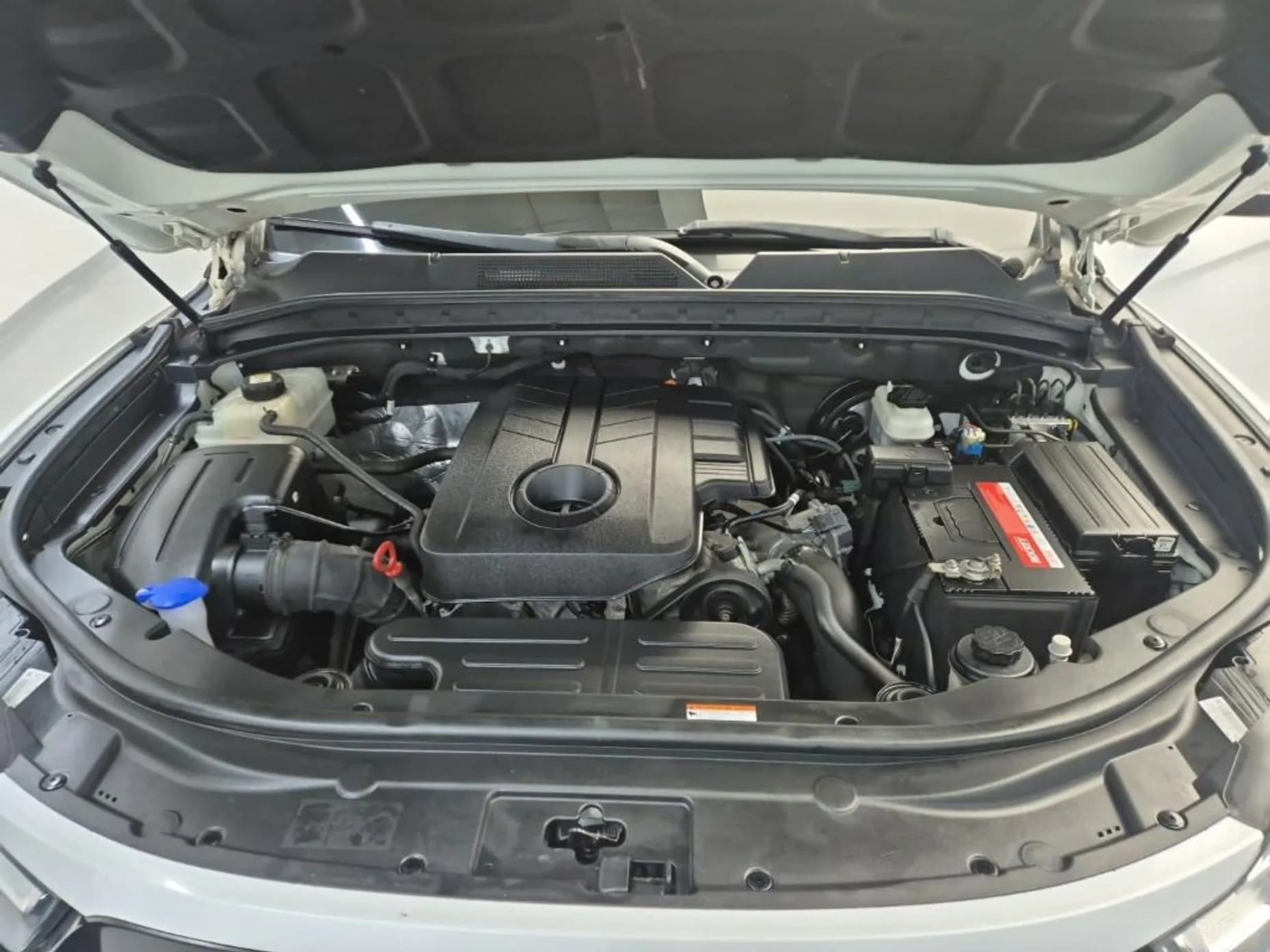 Rexton Sports