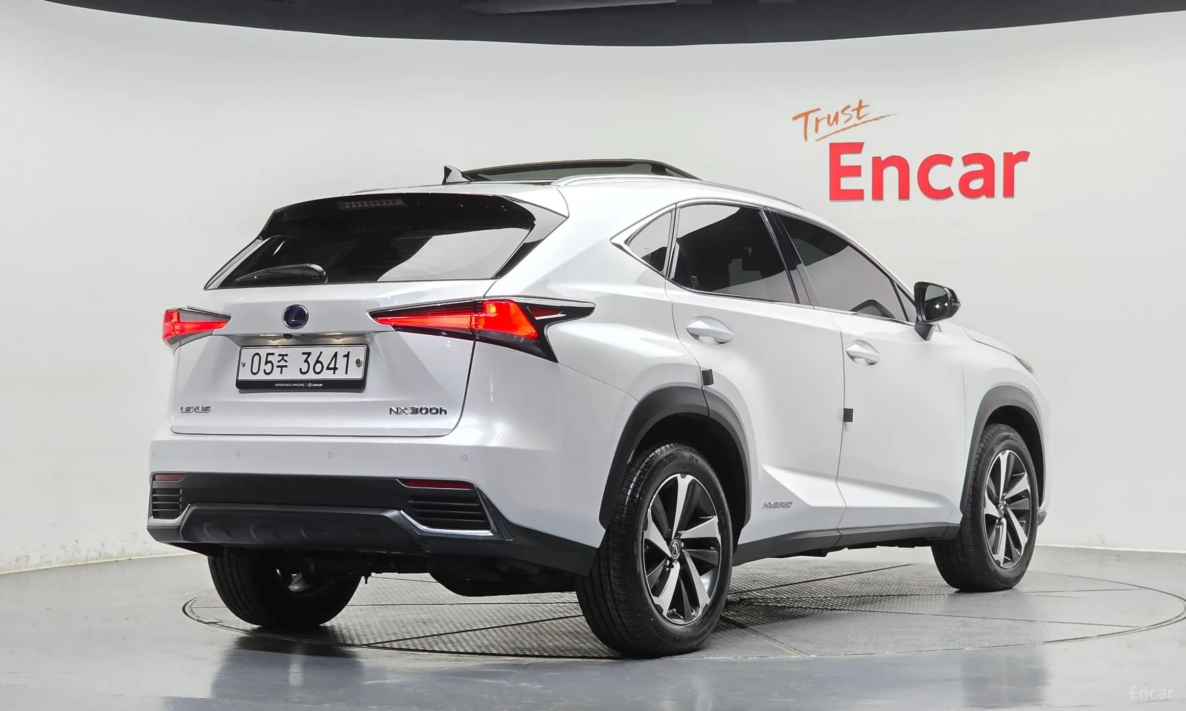 NX300h