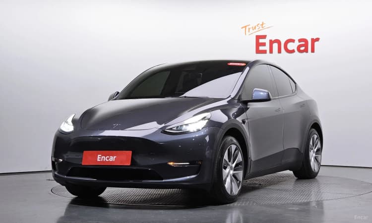 Model Y