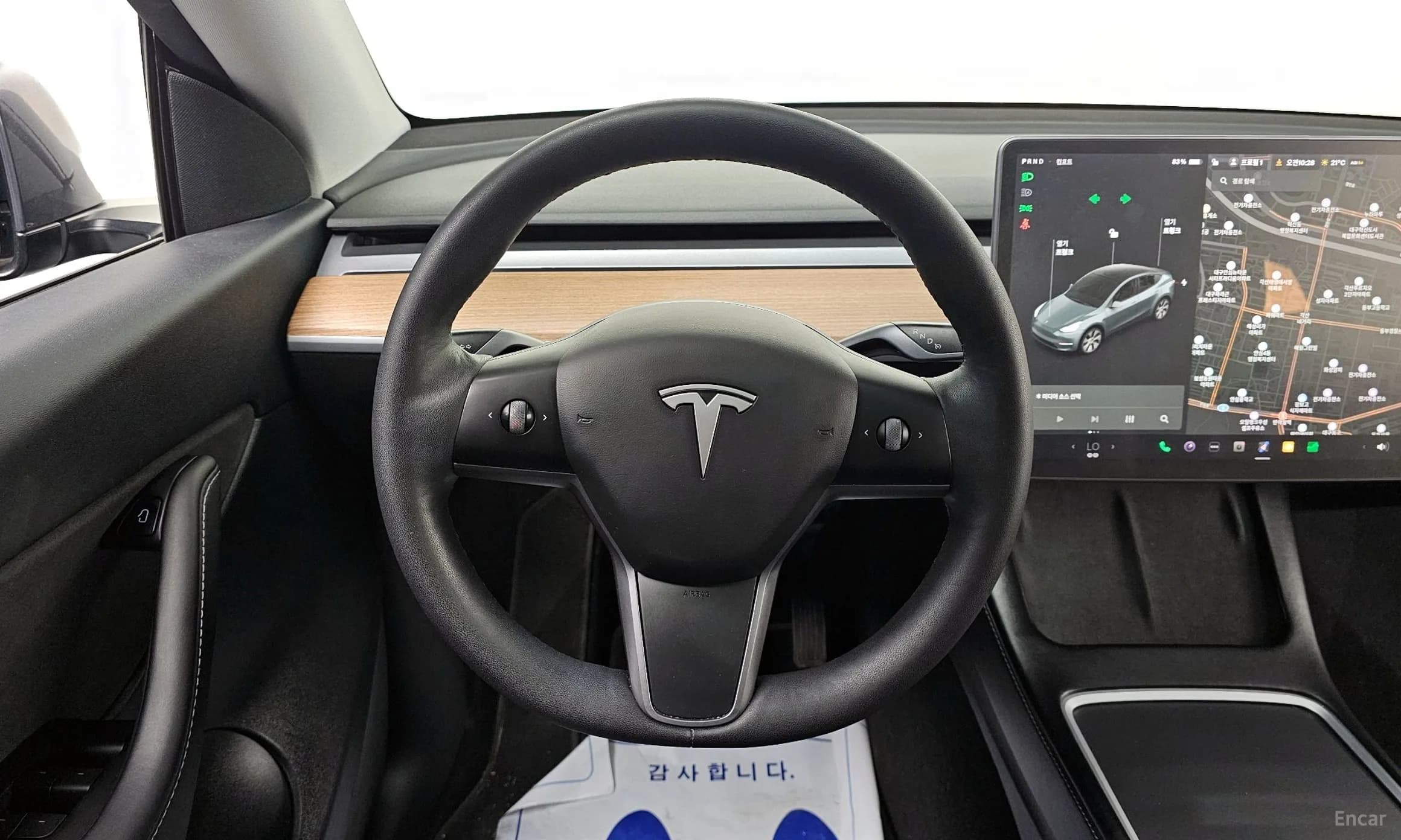 Model Y