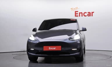 Model Y