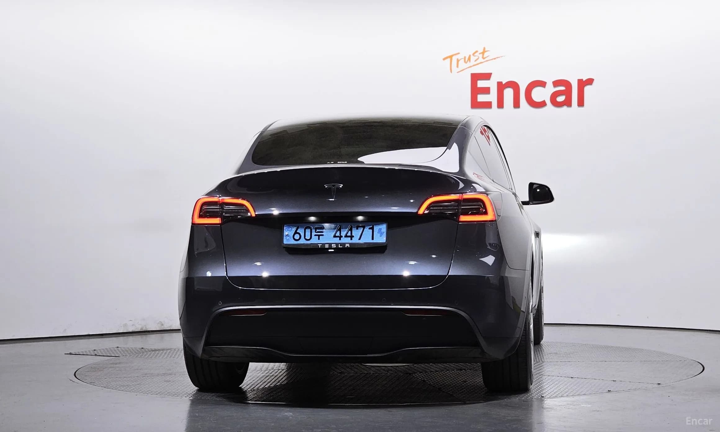 Model Y