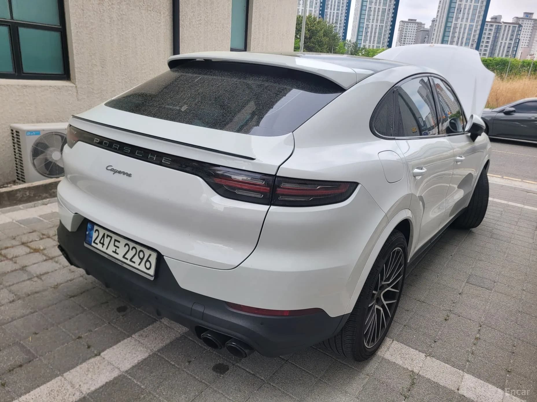 Cayenne (PO536)