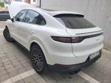 Cayenne (PO536)