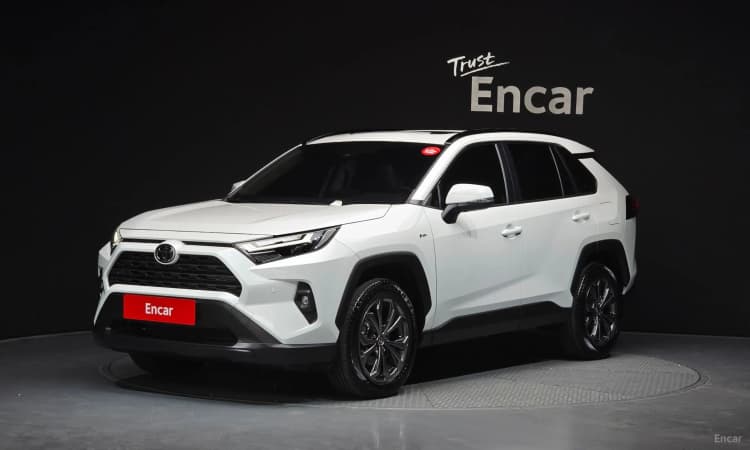 RAV4 5th Generation