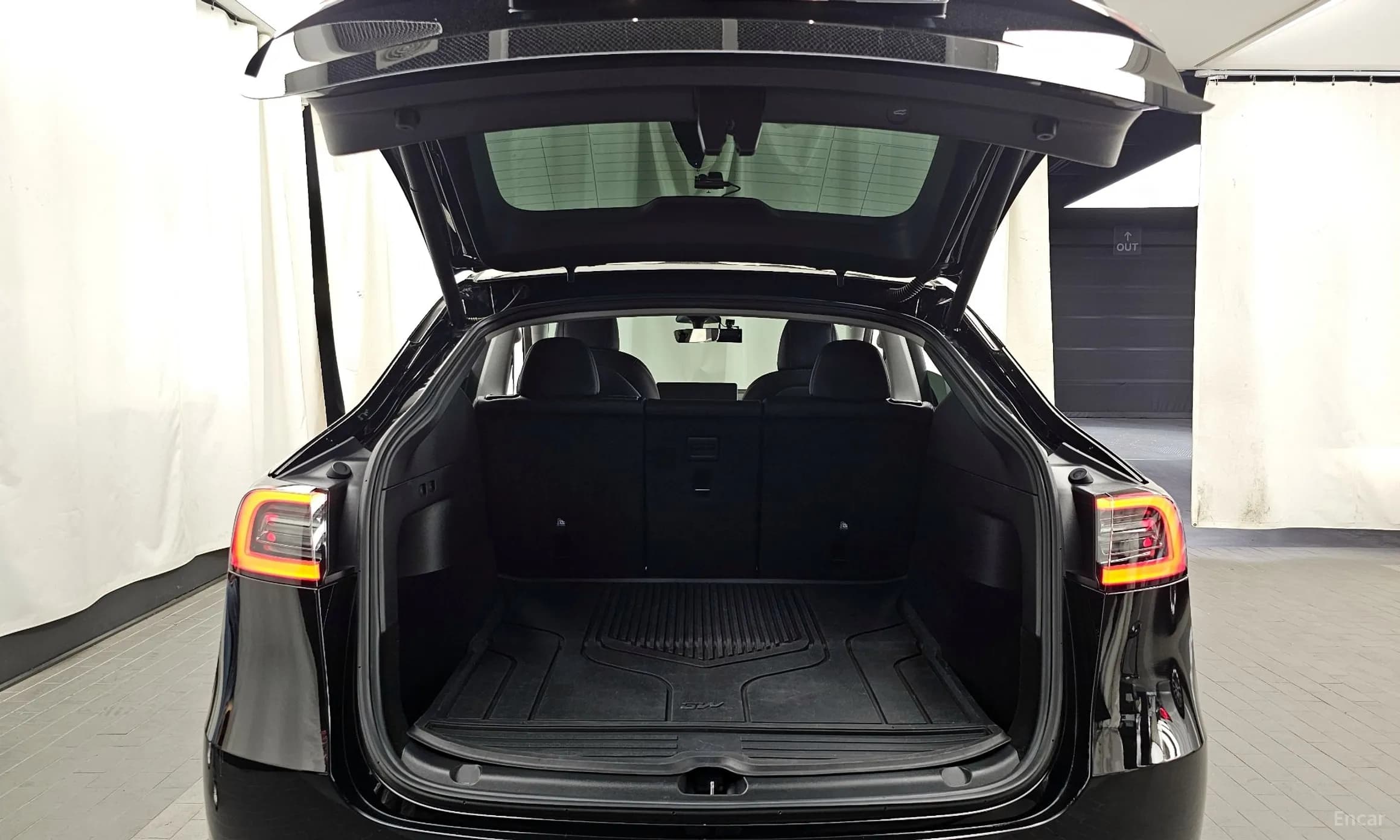 Model Y