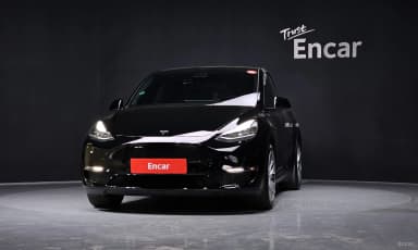 Model Y