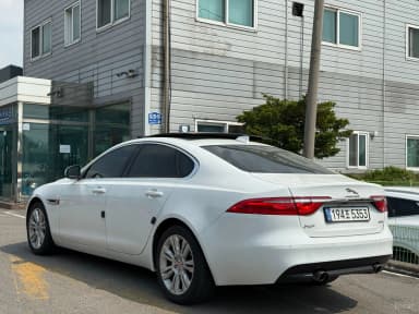 XF (x260)
