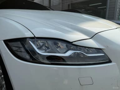 XF (x260)