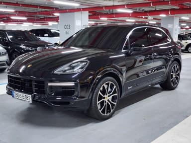 Cayenne (PO536)
