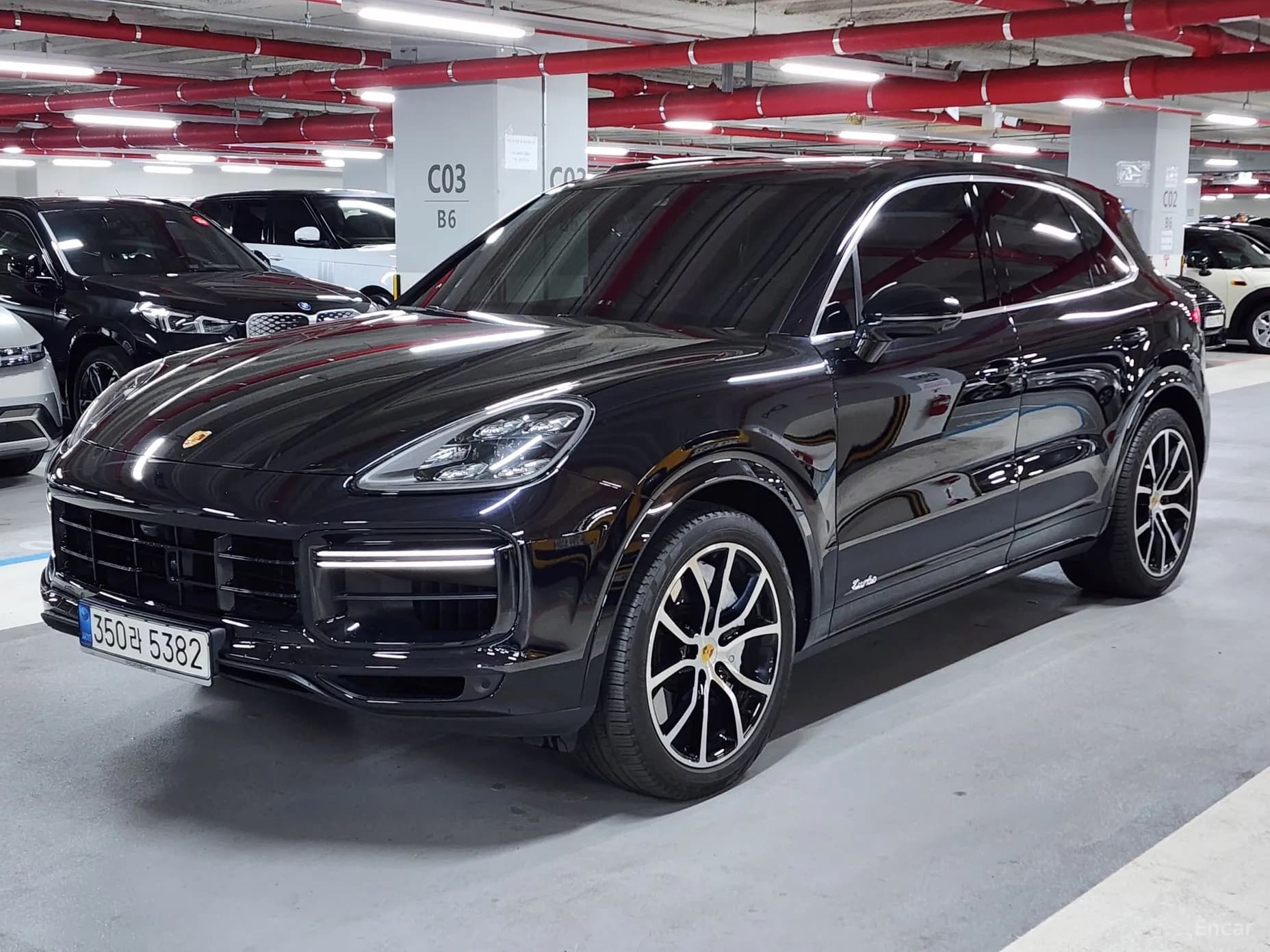 Cayenne (PO536)