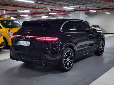 Cayenne (PO536)