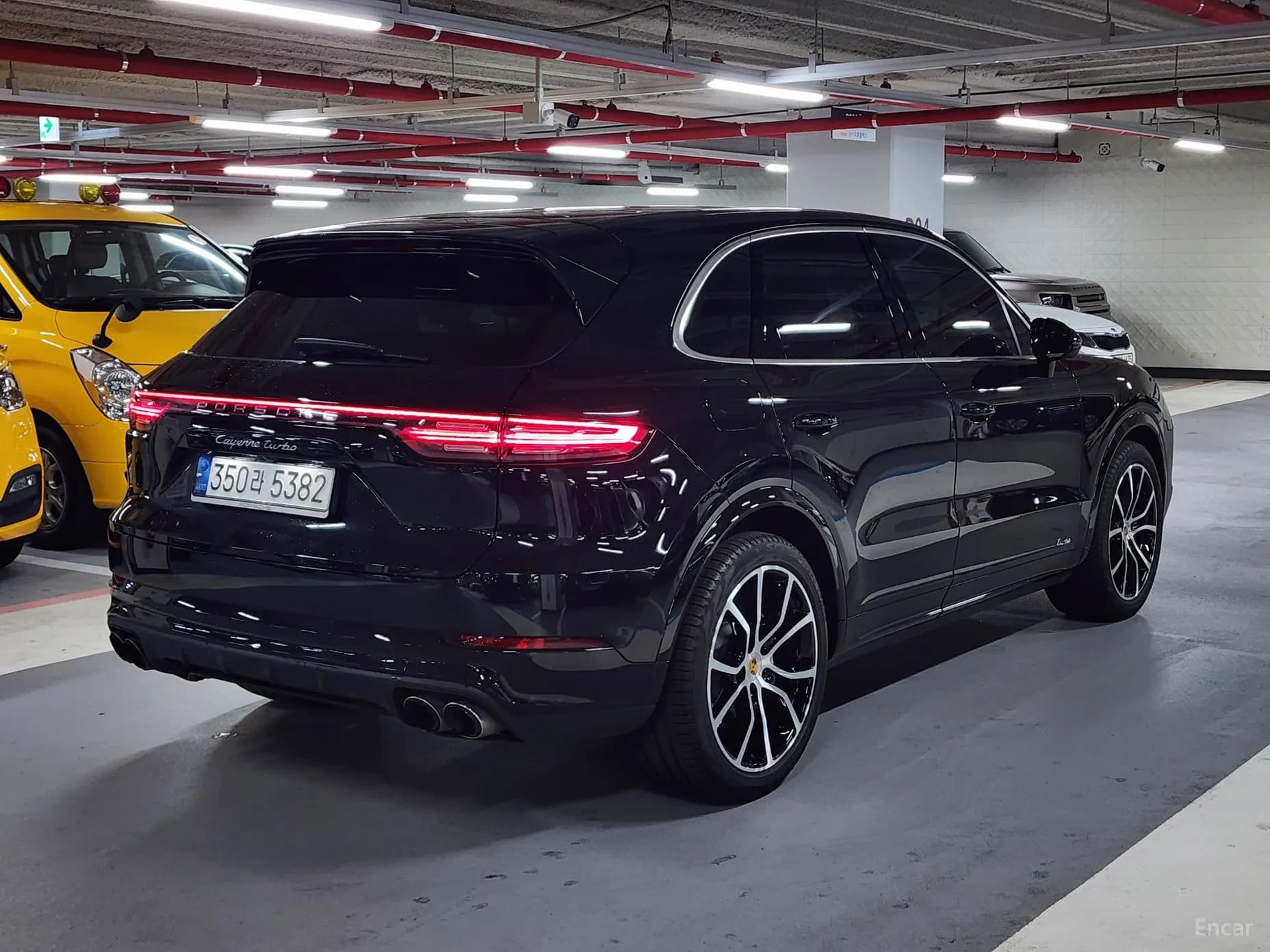 Cayenne (PO536)