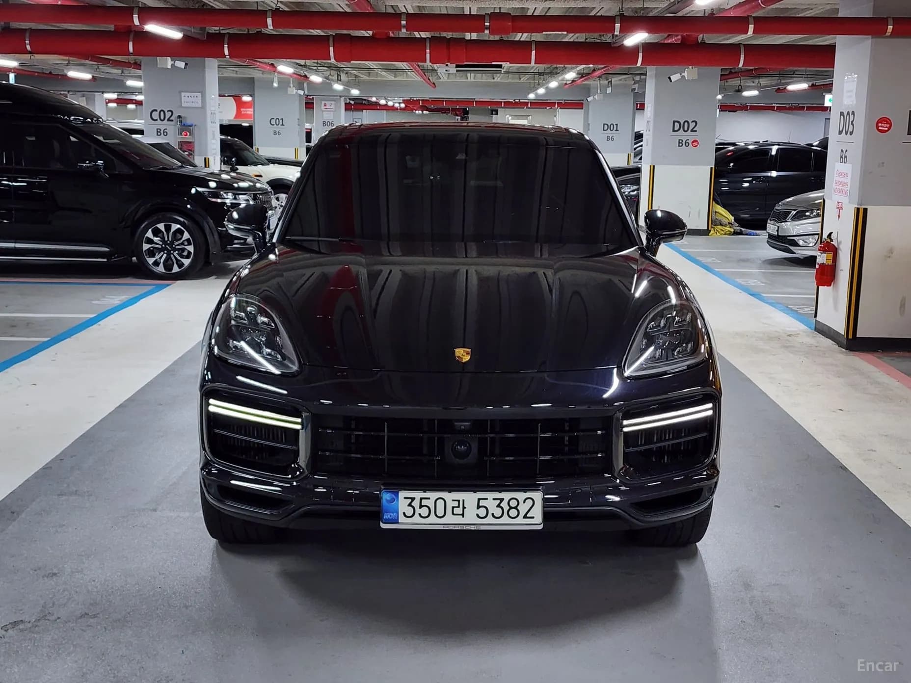Cayenne (PO536)