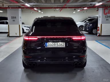Cayenne (PO536)