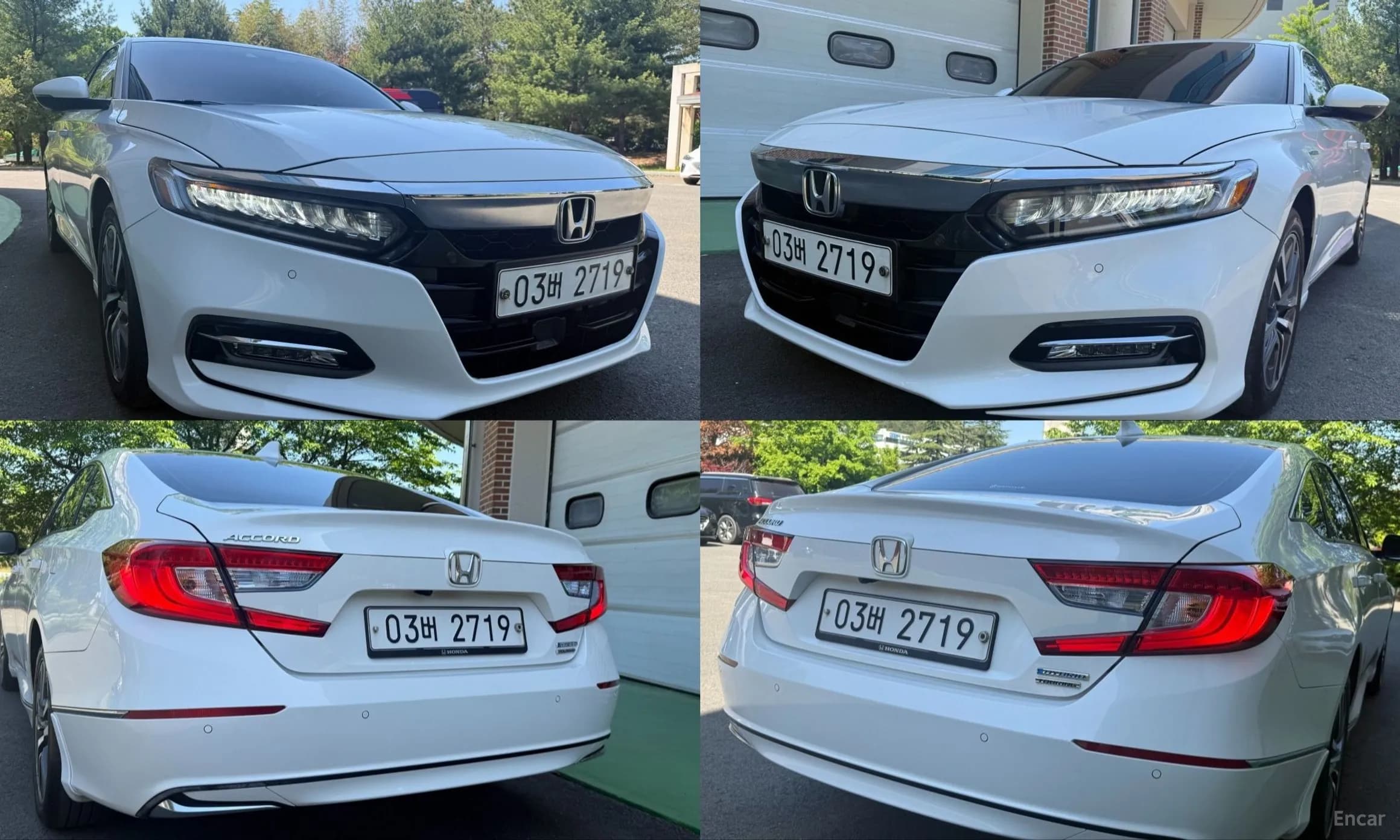 Accord 10th Generation