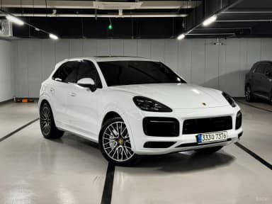 Cayenne (PO536)
