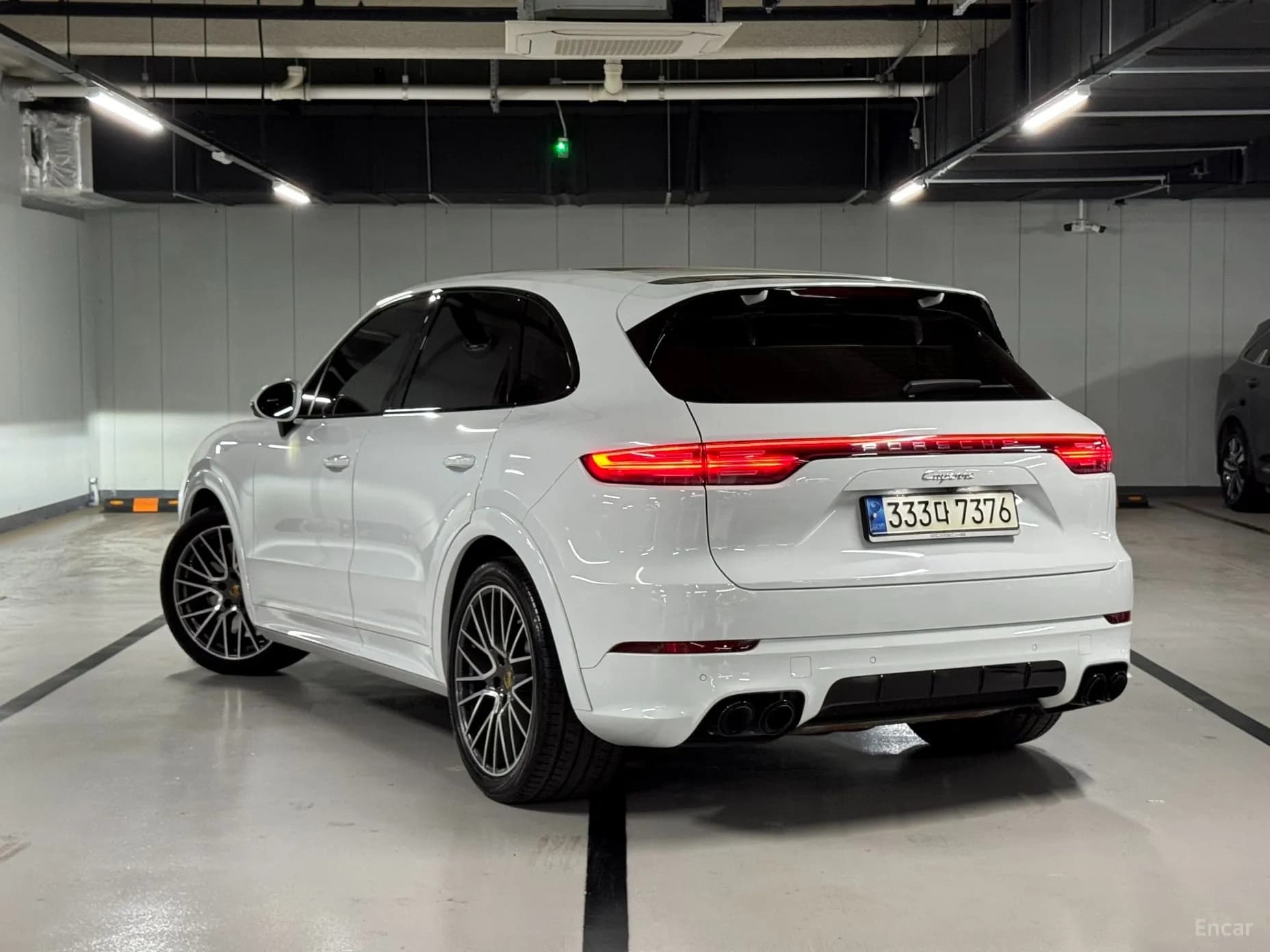 Cayenne (PO536)