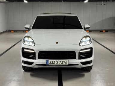 Cayenne (PO536)
