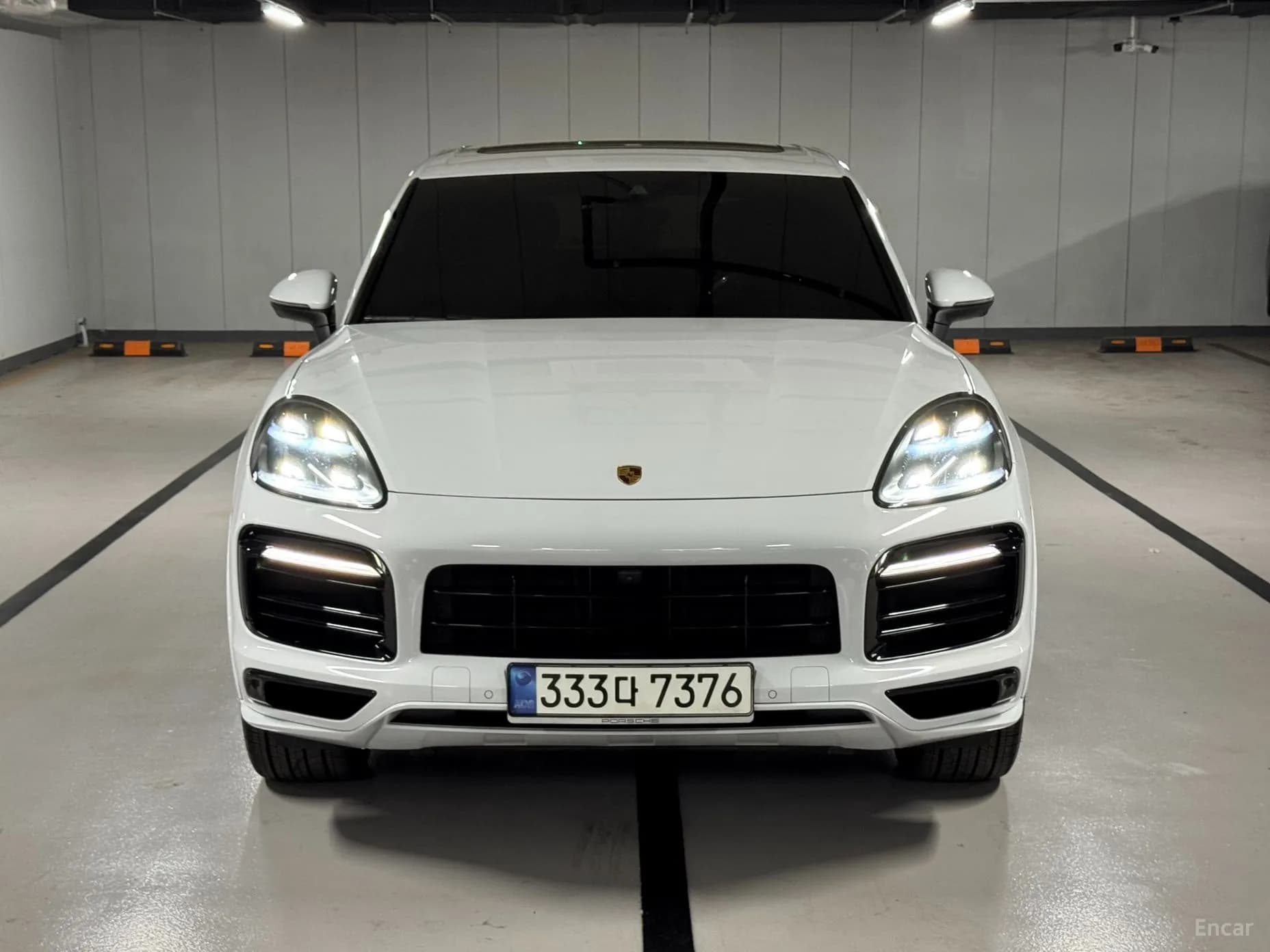 Cayenne (PO536)