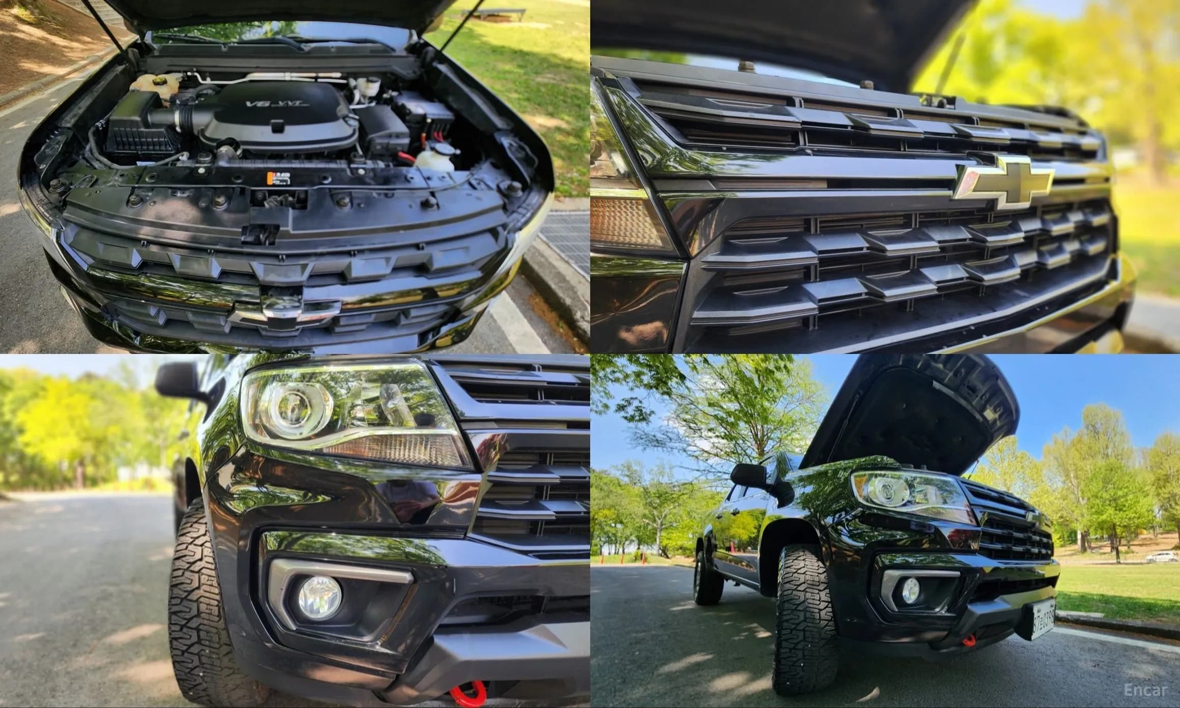 Real New Colorado