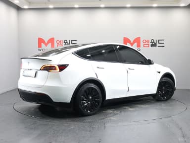Model Y