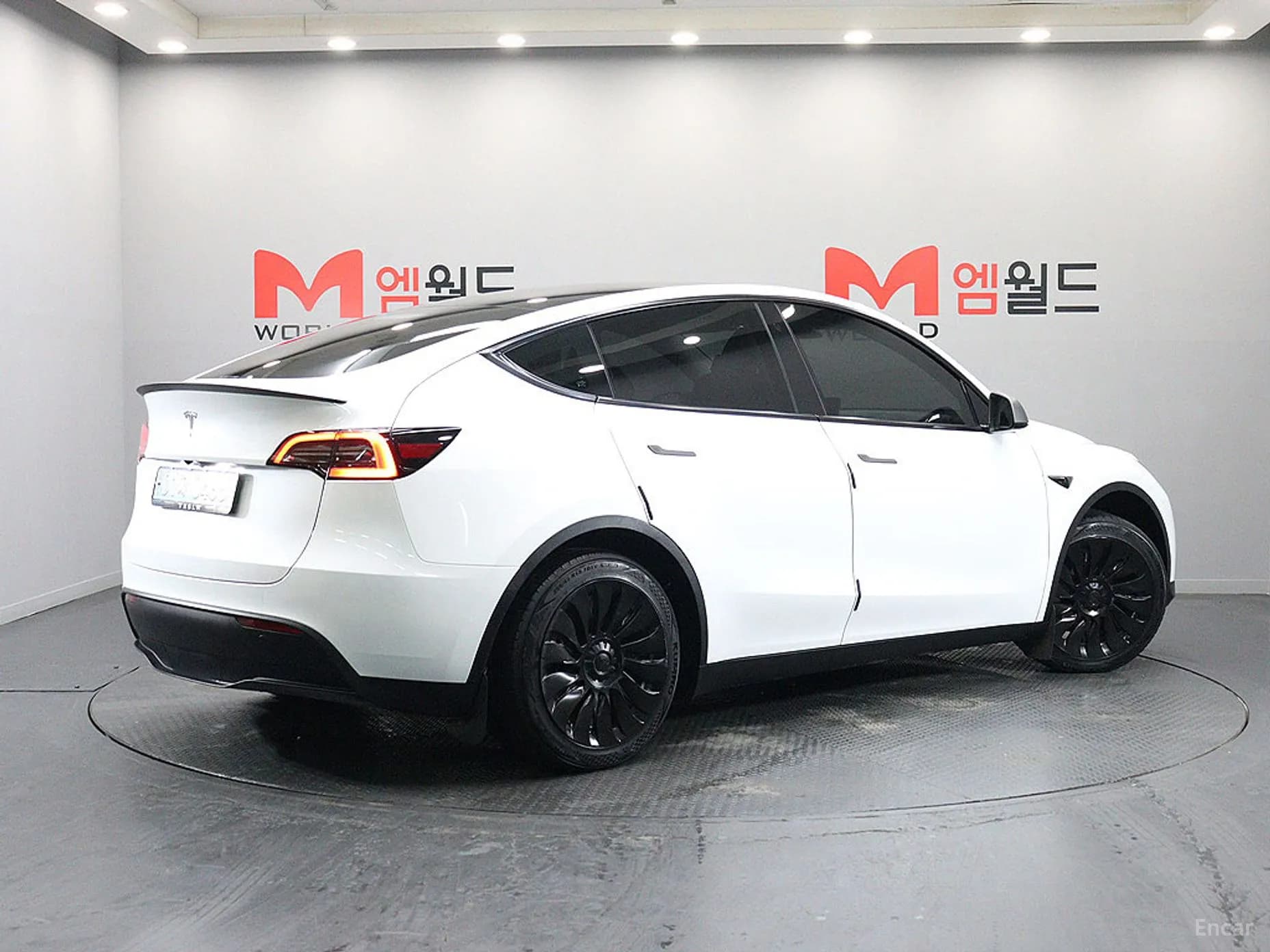 Model Y