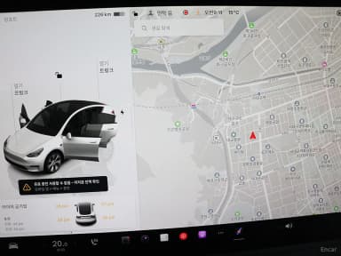 Model Y