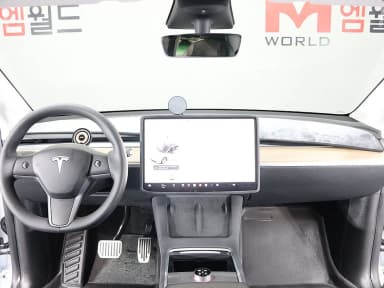 Model Y