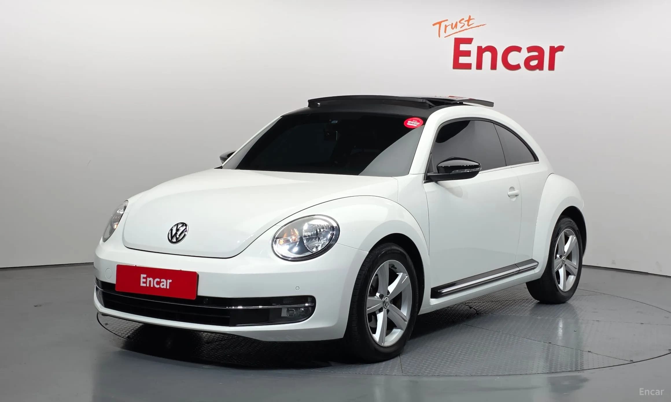 The Beetle