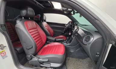 The Beetle