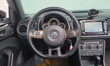 The Beetle