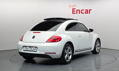The Beetle