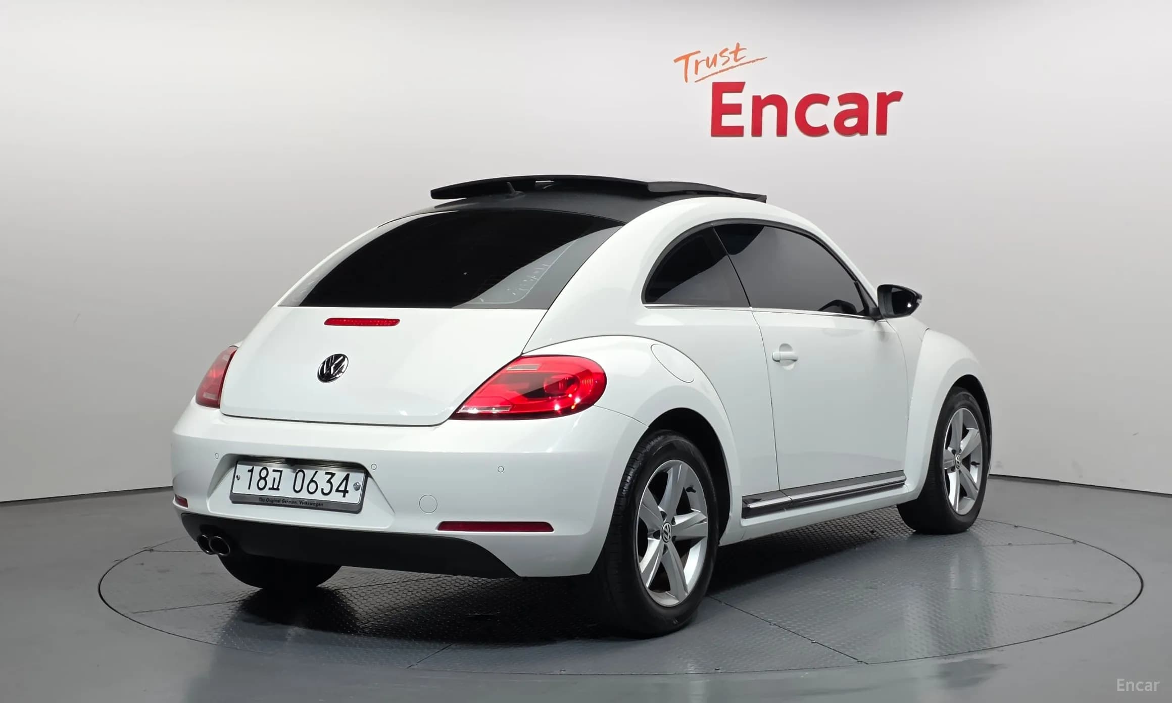 The Beetle